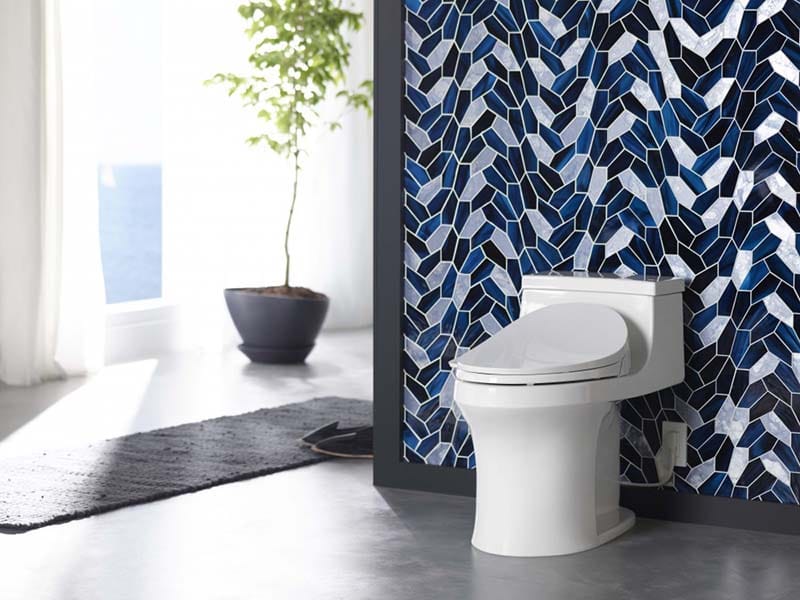 stylish toilet design for every home